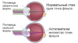 content image 7