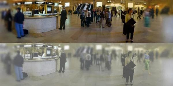 Мир, каким его видят кошки. Фото 1